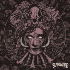 Black Vulpine - Hidden Places ryhmässä CD @ Bengans Skivbutik AB (1721247)