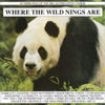 Various Artists - Where The Wild Nings Are ryhmässä CD @ Bengans Skivbutik AB (1794646)