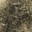 Drowned - Idola Specus ryhmässä VINYYLI @ Bengans Skivbutik AB (1798392)