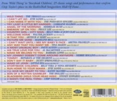 Various Artists - Wild Thing - The Songs Of Chip Tayl