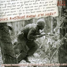 Various Artists - Does Anybody Know I'm Here? Vietnam