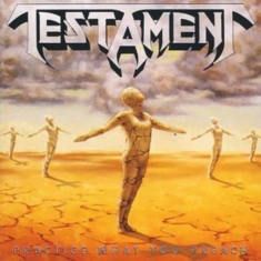 TESTAMENT - PRACTICE WHAT YOU PREACH