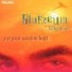 Bluezeum - Put Your Mind On Hold ryhmässä CD @ Bengans Skivbutik AB (1902224)