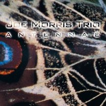 Morris Joe (Trio) - Antennae ryhmässä CD @ Bengans Skivbutik AB (1916317)