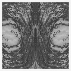 Necro Deathmort - Capsule