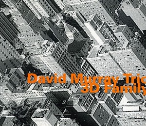 Murray David (Trio) - 3D Family