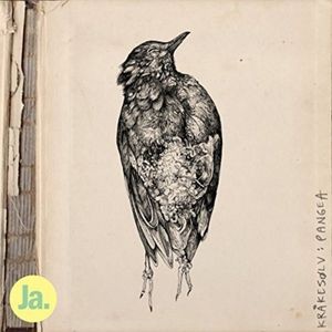Kråkesölv - Pangea