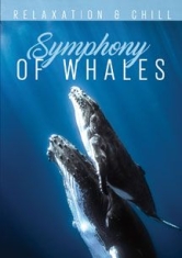Relax: Symphony Of Whales - Film ryhmässä DVD & BLU-RAY @ Bengans Skivbutik AB (2101981)
