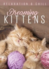 Relax: Dreaming Kittens - Film ryhmässä DVD & BLU-RAY @ Bengans Skivbutik AB (2101983)