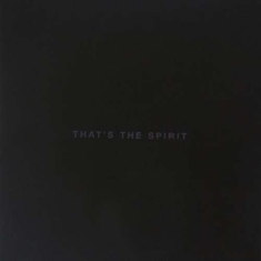 Bring Me The Horizon - That's The Spirit