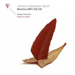 Collegium Vocale Gent Philippe Her - Motetten Bwv 225-230 (2 Lp)