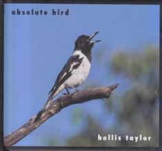 Taylor Hollis - Absolute Bird ryhmässä CD @ Bengans Skivbutik AB (2491920)