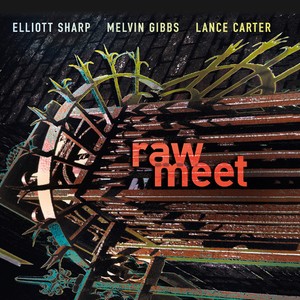 Elliott Sharp Melvin Gibbs Lance - Raw Meet