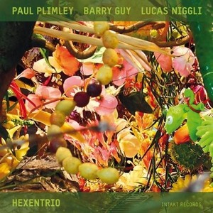 Paul Plimley Barry Guy Lucas Nigg - Hexentrio