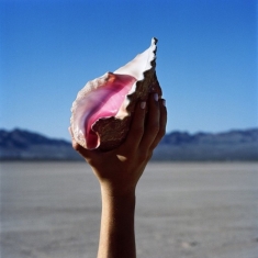 The Killers - Wonderful Wonderful (Vinyl)