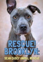 Rescue! Brooklyn - Film ryhmässä DVD & BLU-RAY @ Bengans Skivbutik AB (2674389)