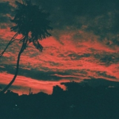 Zavala Malena - Aliso