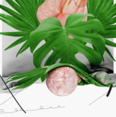 Hatchback - Year Of The Dragon