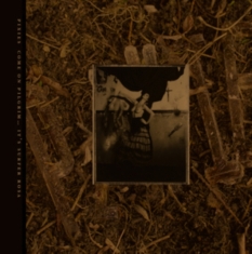 Pixies - C'mon Pilgrim - It's Surfer Rosa (B