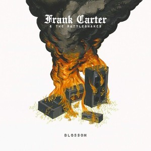 Carter Frank And The Rattlesnakes - Blossom