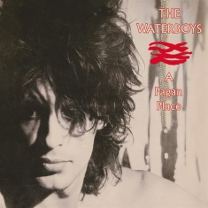 The Waterboys - A Pagan Place