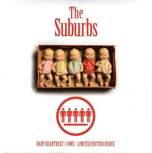 Suburbs - Cows