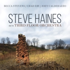 Steve Haines And The Third Flo - Steve Haines And The Third Floor Orchestra