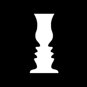 Sensory Illusions - The Sensory Illusions
