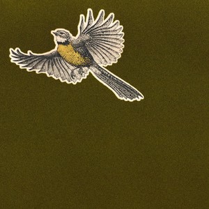 Ficino Ensemble - Winter