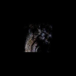 Brunnen - Garden Of Perpetual Dreams