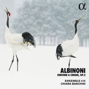 Tomaso Albinoni - Sinfonie A Cinque, Op. 2