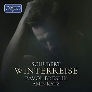 Franz Schubert - Winterreise