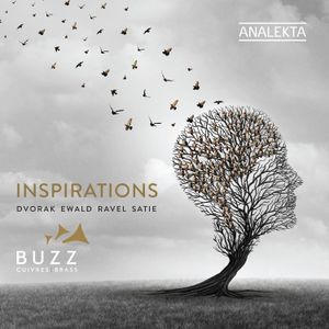 Dvorak Antonin Ewald Victor Rav - Inspirations
