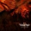 Dawn Of Ashes - Origin Of The Ashes: The Dark Elect ryhmässä CD @ Bengans Skivbutik AB (3691643)