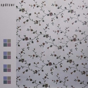 Spätzer - Derive