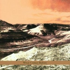 Goldberg / Schott / Sarin Trio - What Comes Before