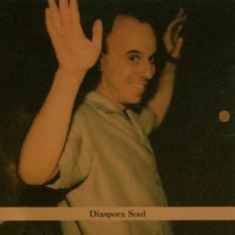 Steven Bernstein - Diaspora Soul
