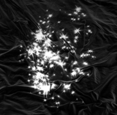 Peals - Walking Field