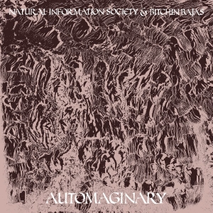 Bitchin Bajas & Natural Information - Automaginary