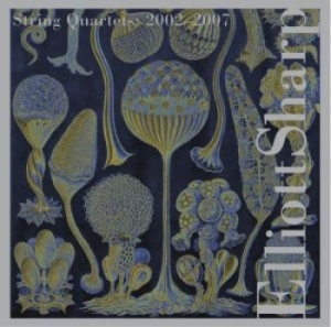 Choi Jennifer / Huebner Gregor / - Sharp: String Quartets Volume 2