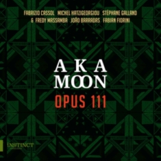Aka Moon Trio - Opus 111