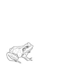 O'donovan Aofie - Bull Frogs Croon (And Other Songs)
