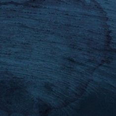 Multicast Dynamics - Aquatic System