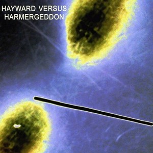 Charles Hayward Versus Harmergeddon - Charles Hayward Versus Harmergeddon