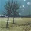 Broken Dog - Harmonia ryhmässä CD @ Bengans Skivbutik AB (3842330)