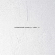 Prairie - And The Bird Said: Cut Me Open And