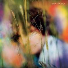 Sam Amidon - Sam Amidon ryhmässä CD @ Bengans Skivbutik AB (3903593)
