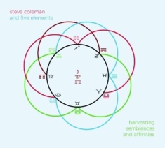 Coleman Steve - Harvesting Semblances And Affinities