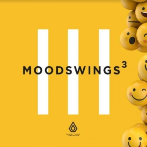 Various Artists - Moodswings 3