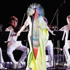 Bjork - Vulnicura Strings